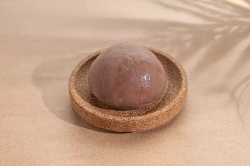 Chocolate Mochi